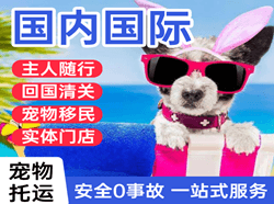 五台山航空货运国际宠物托运 【国